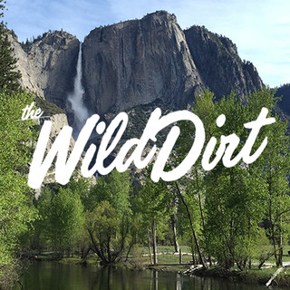 Writer: Wild Dirt