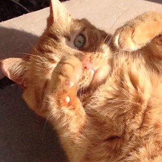 Writer: Inna Lobanova