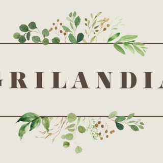 Writer: Muhammad Eissa