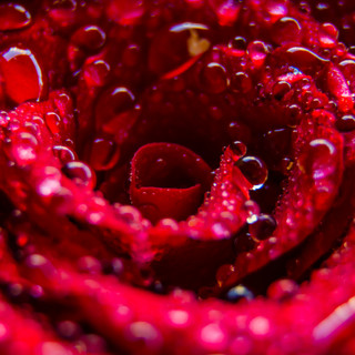 Writer: Alyssa Kurian