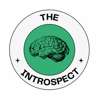 Writer: The Introspect 