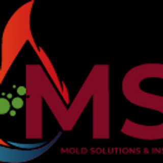 Writer: Mold Solutions & Inspections