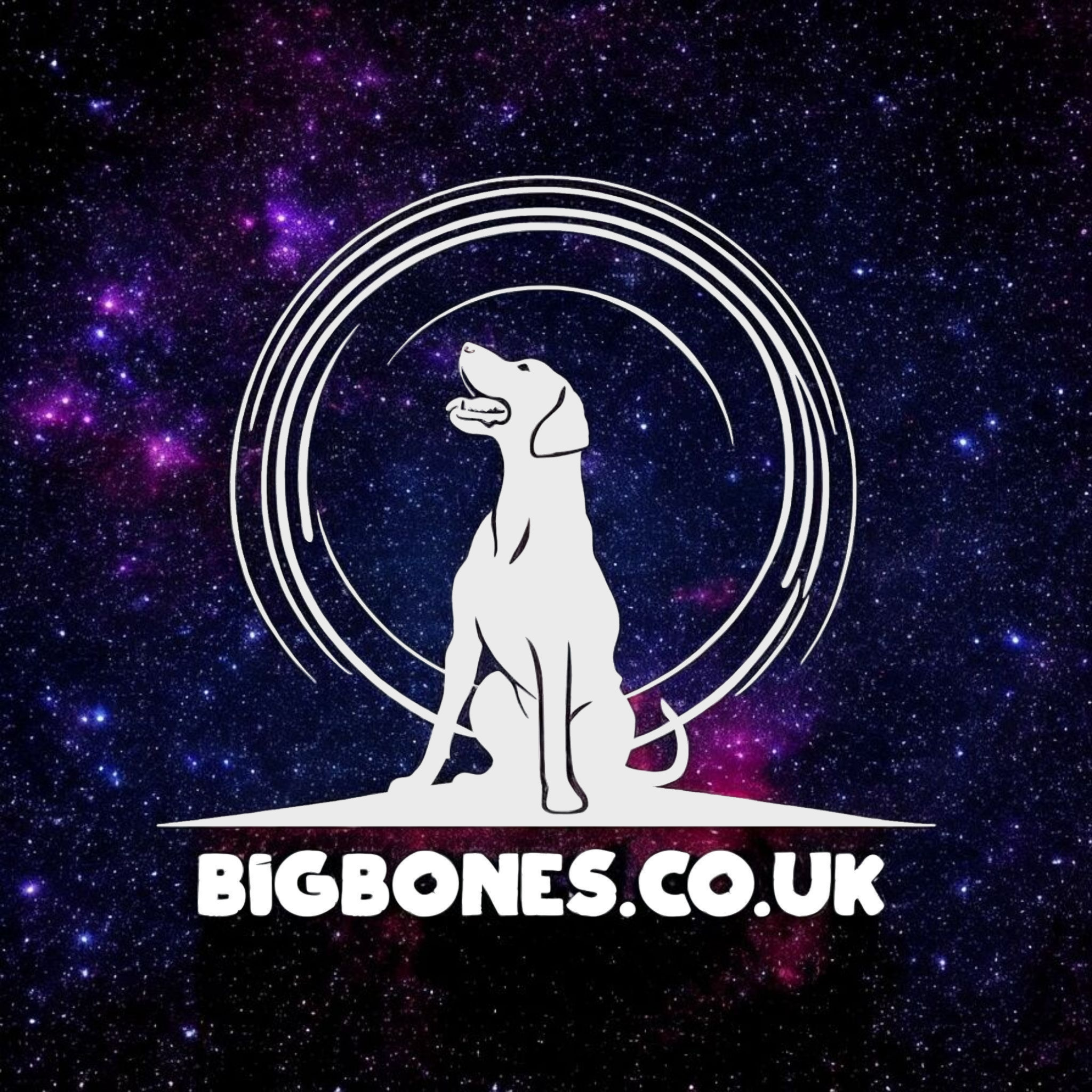 Writer: Big Bones