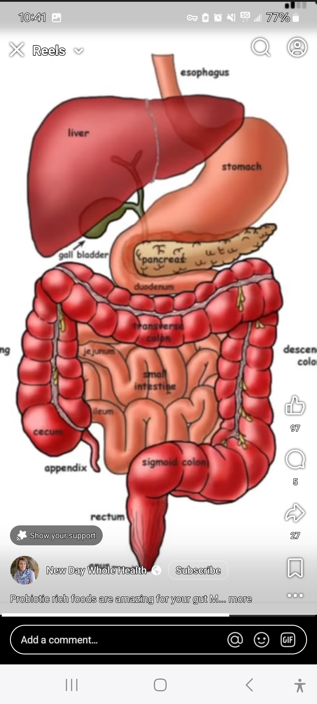 Writer: Brenda Krueger