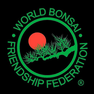 Writer: wbffbonsai01