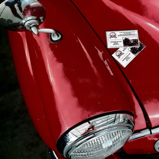 Writer: Deanne Marsden