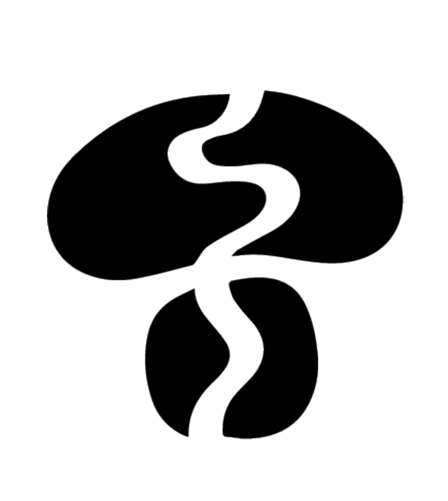 Writer: thefungistore