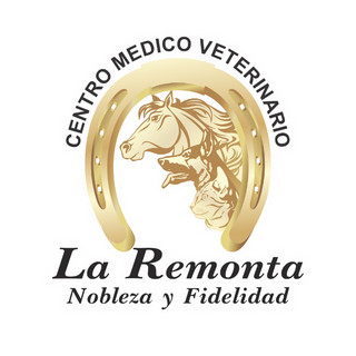 Foto del escritor: Hernan Ortiz