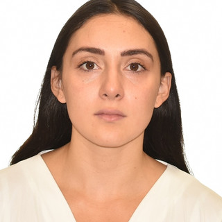 Writer: dayann escobar ramos