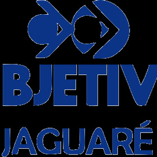 Writer: objetivojaguare