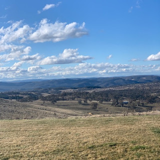 Writer: Arakoola  Farms
