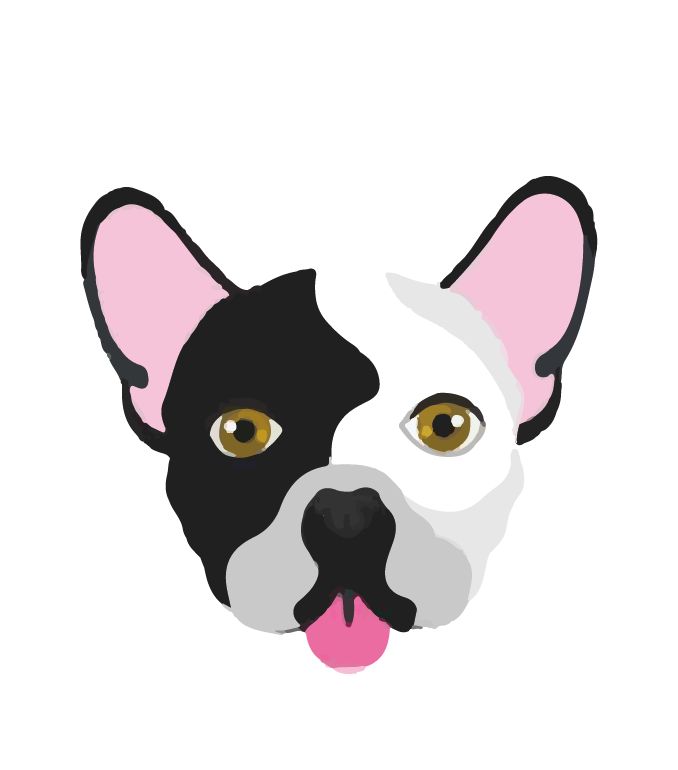 Foto del escritor: Dog Care Barcelona