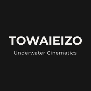 執筆者の写真: towaieizo2024