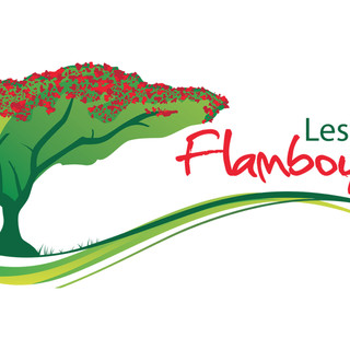 Photo du rédacteur: LES JARDINS    FLAMBOYANTS