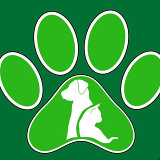 Writer: GREEN PAW BOUTIQUE PAW BOUTIQUE