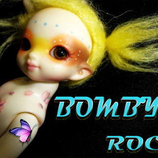 Photo du rédacteur: Bombyx rock