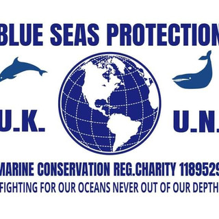 Writer: Blue Seas Protection