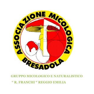 Immagine del redattore: Gruppo R. Franchi Micologico e Naturalistico