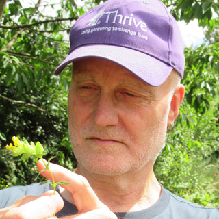 Writer: Paul Ritchie