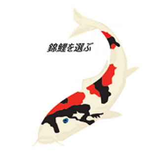 Writer: selectkoi