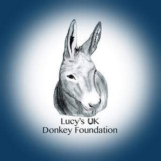 Writer: Lucy's UK Donkey Foundation