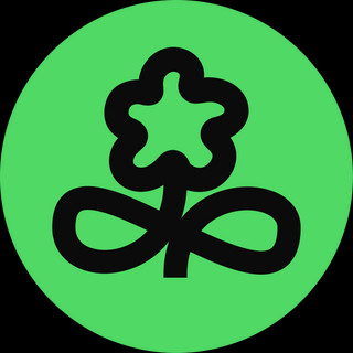 Writer: midoridesignstudio
