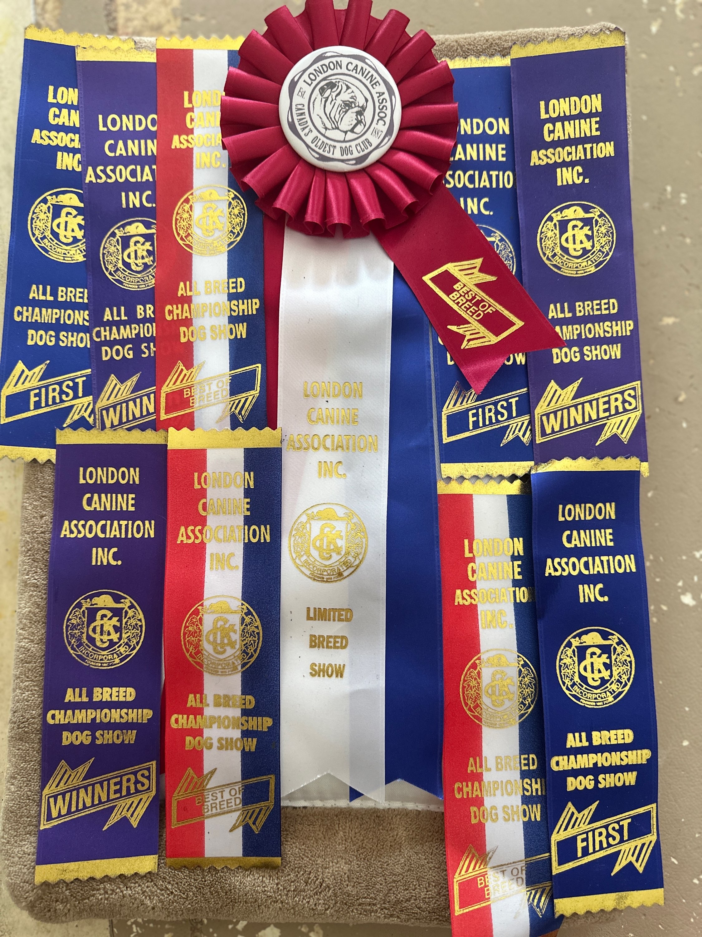 Writer: Pawtopia Pet Resort and Rescue Last Samurai Kennel