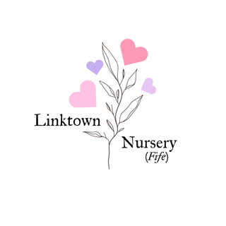 Writer: Linktown Nursery