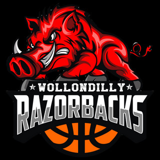Writer: Wollondilly Razorbacks