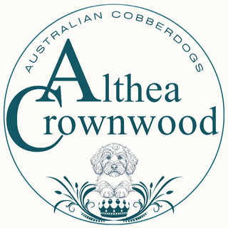 Foto del escritor: altheacrownwood