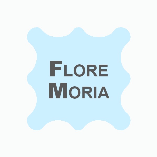 Immagine del redattore: FloreMoria