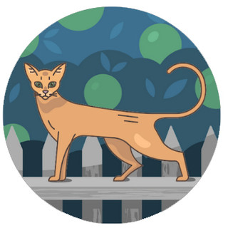 作家相片: Joseph Yu