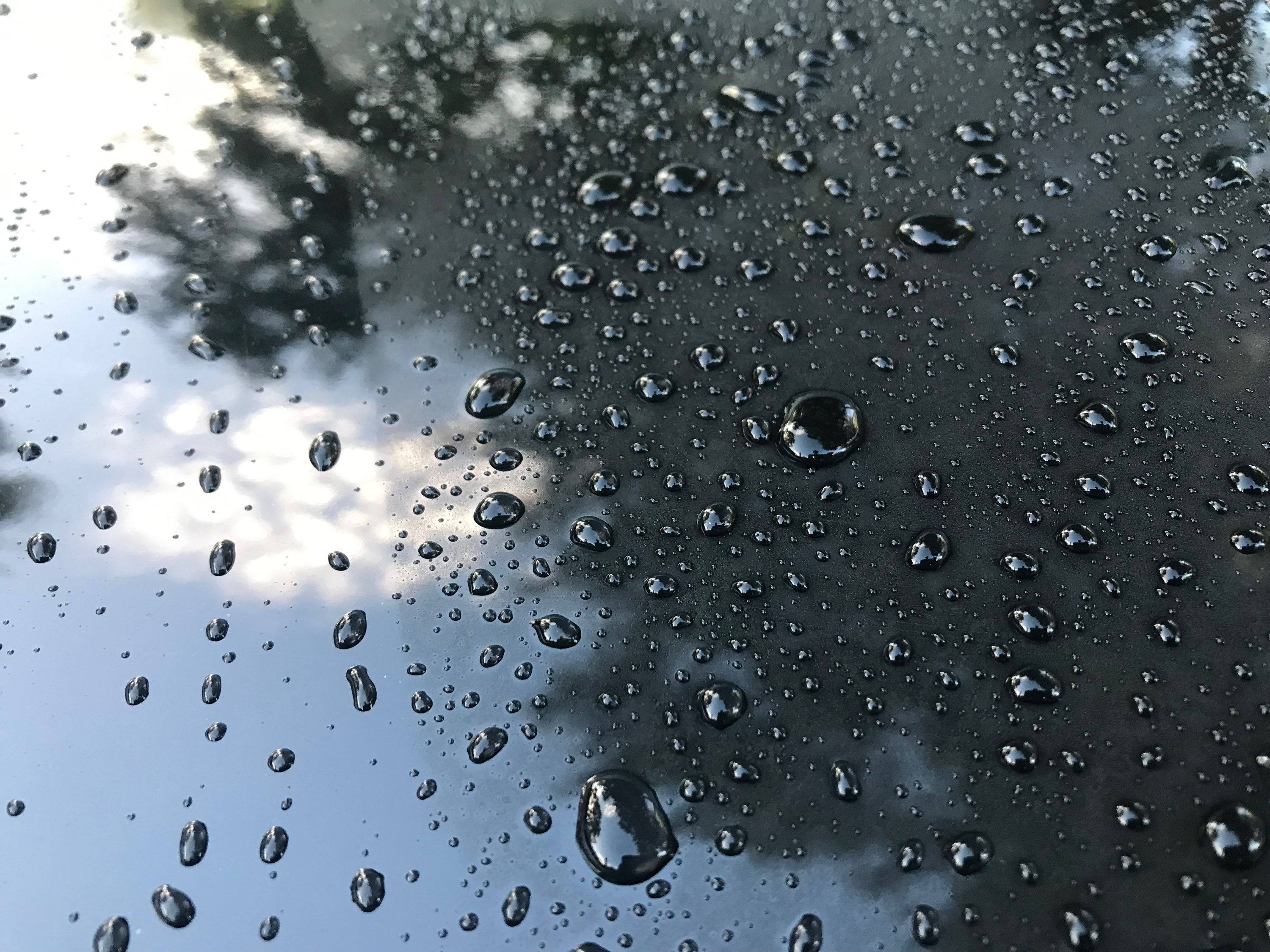 Writer: Nicholas Rodriguez