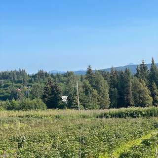 Writer: David Pruett