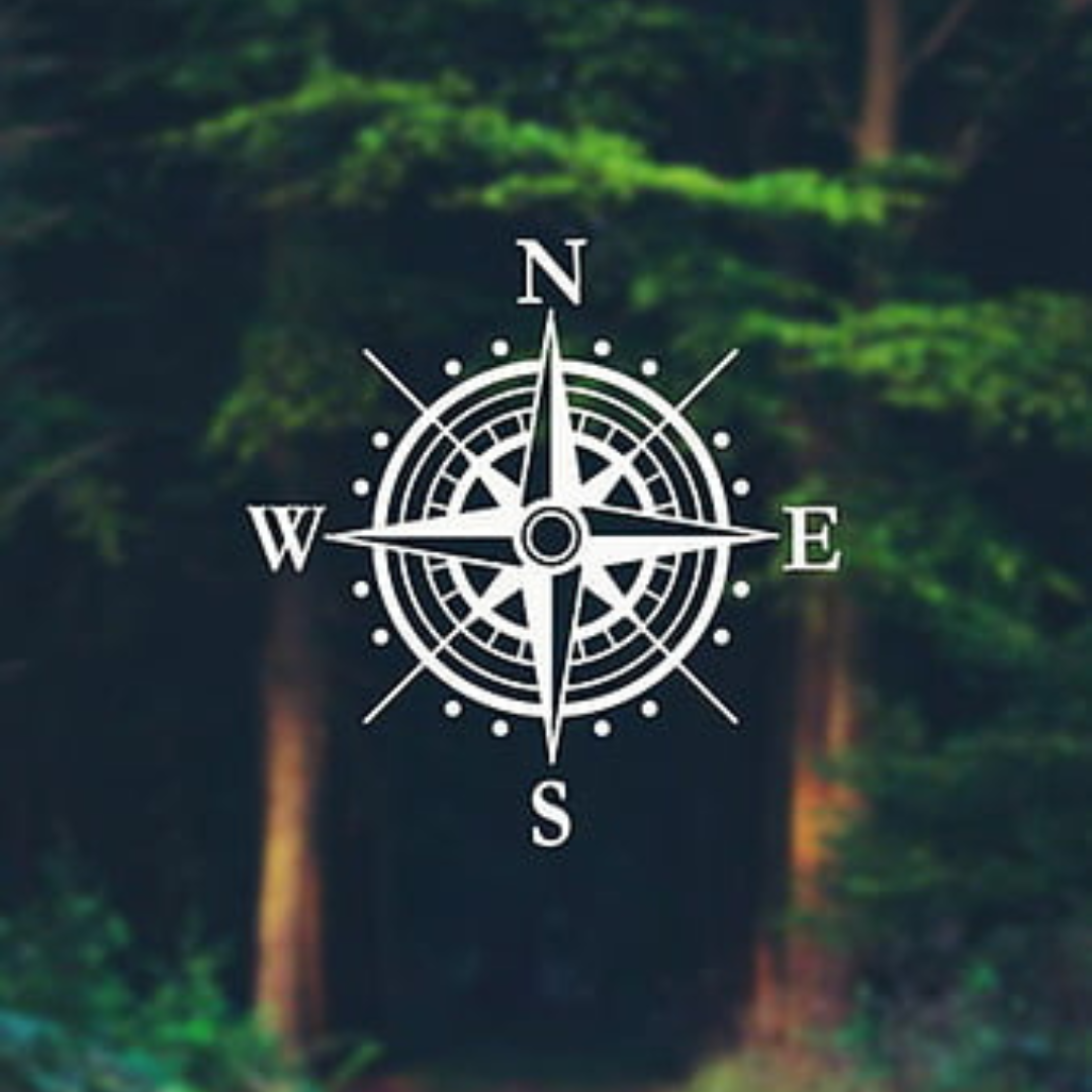 Writer: Naomi
