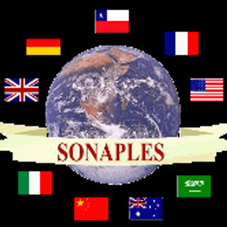 Foto del escritor: SONAPLES Chile