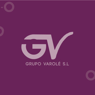 Foto del escritor: GV Grupo Varolé