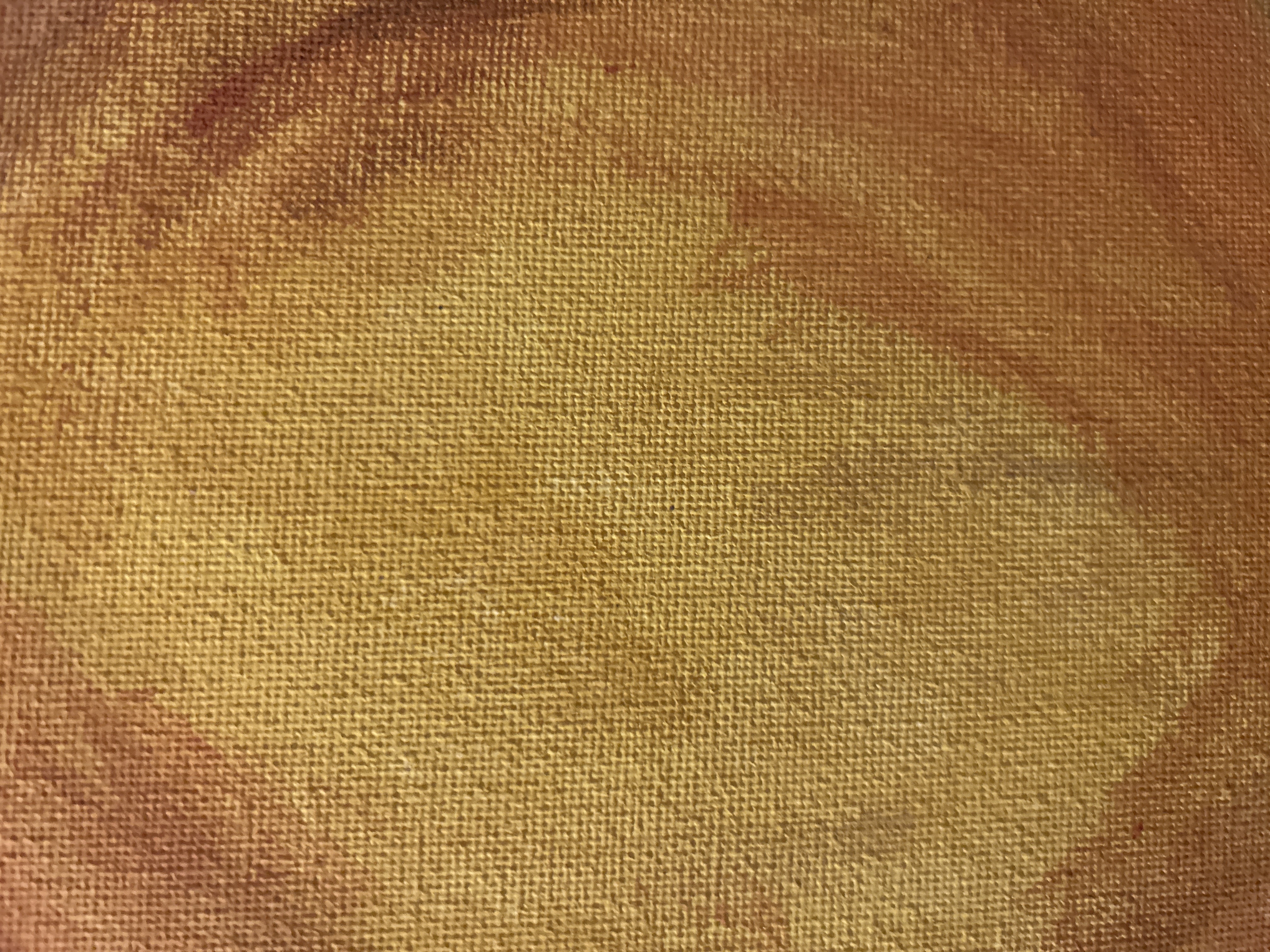 Writer: Vanessa Giordano