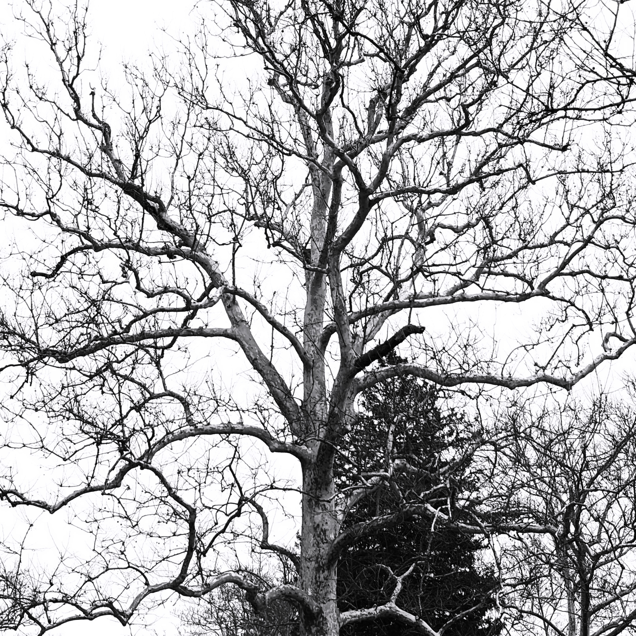 Writer: Neil Martinez