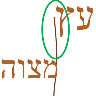 Writer: Shlomo Epshteyn