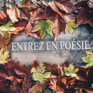 Photo du rédacteur: entrezenpoesie