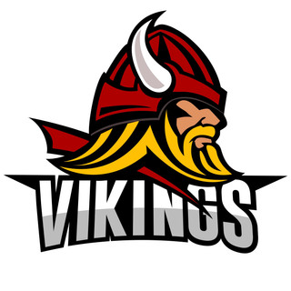 Photo du rédacteur: Vikings Villeneuve d'Ascq