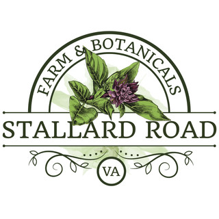 Writer: Katherine  Adams