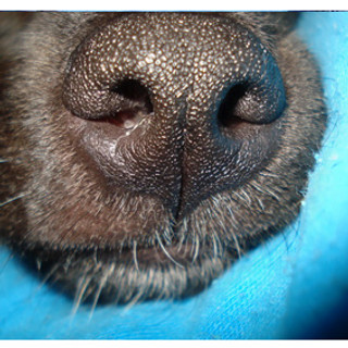 Foto do escritor: Lucia Bsc