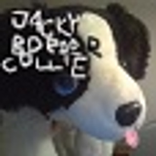 Writer: JackyBorderCollie  