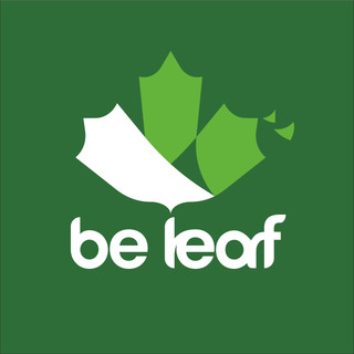 Writer: The Be Leaf Renovation Team