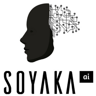 Writer: SOYAKAAI SCIENCE & TECHNOLOGY PTE. LTD.