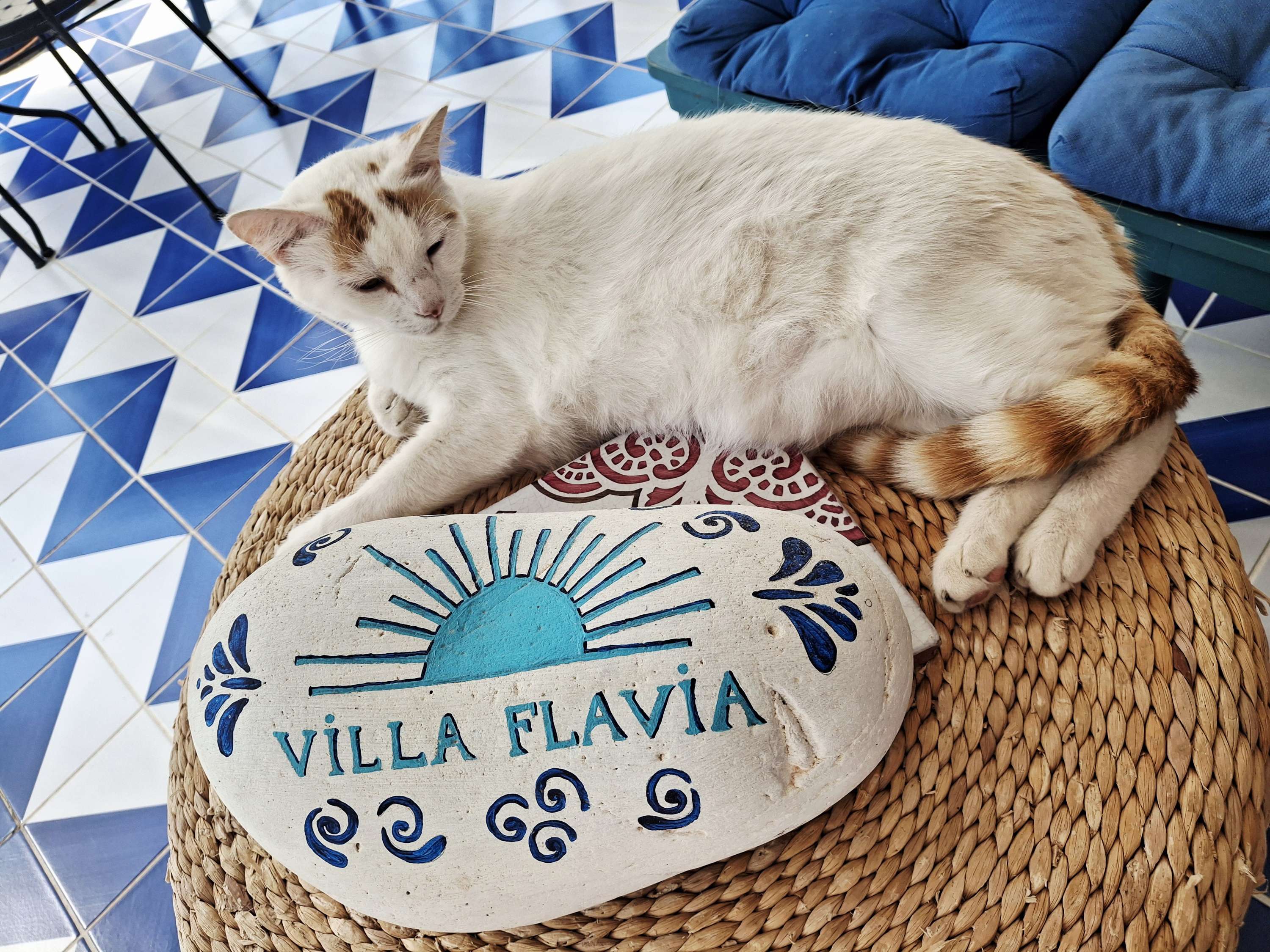 Writer: Villaflaviaholidays null