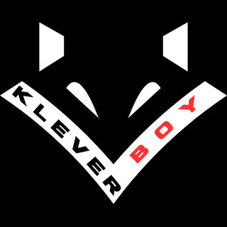 Writer: KLEVER BOY HOLDINGS COMPANY