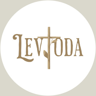 Foto del escritor: Levtoda 